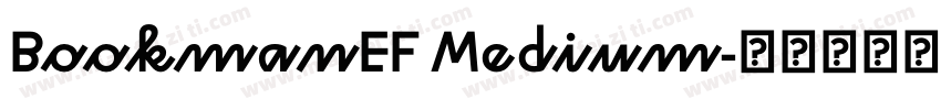 BookmanEF Medium字体转换